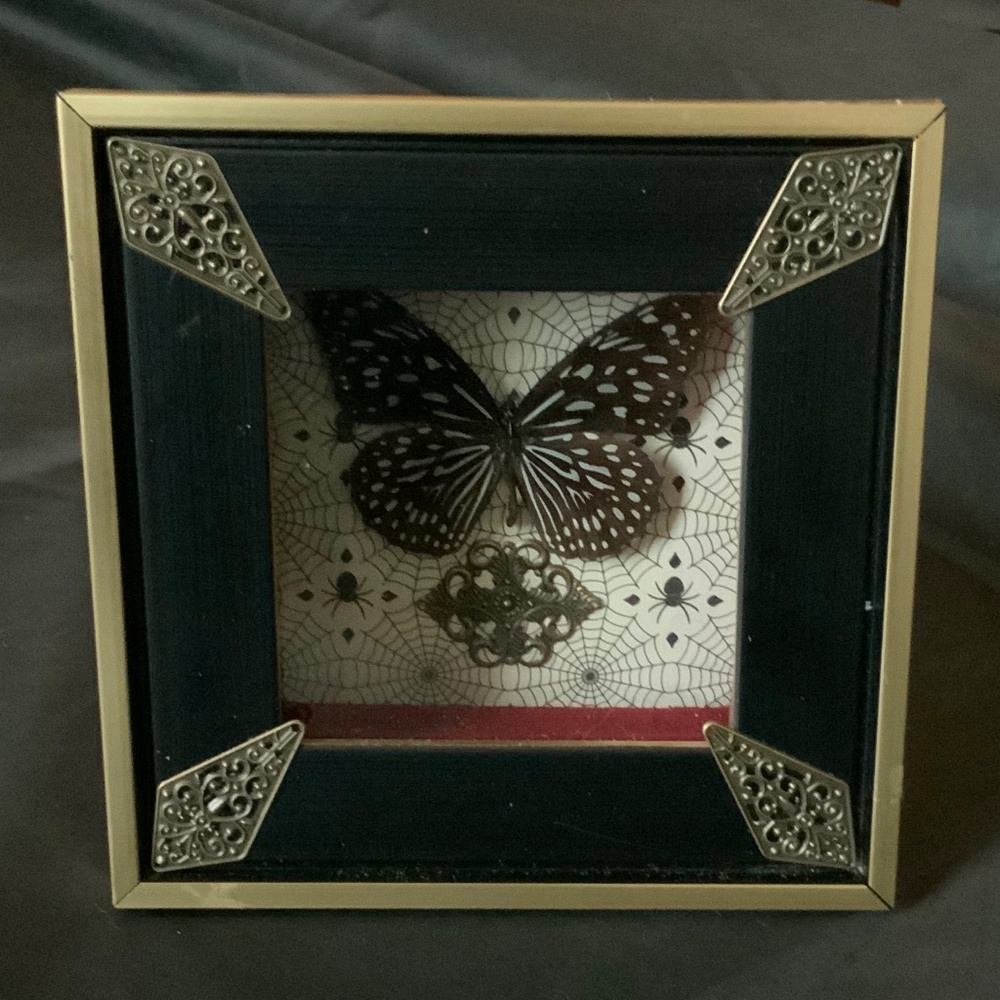 Custom real butterfly frame